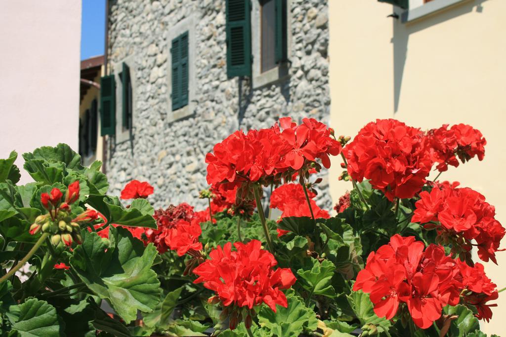 Ponte Del Vegnuti Pension Fivizzano Buitenkant foto